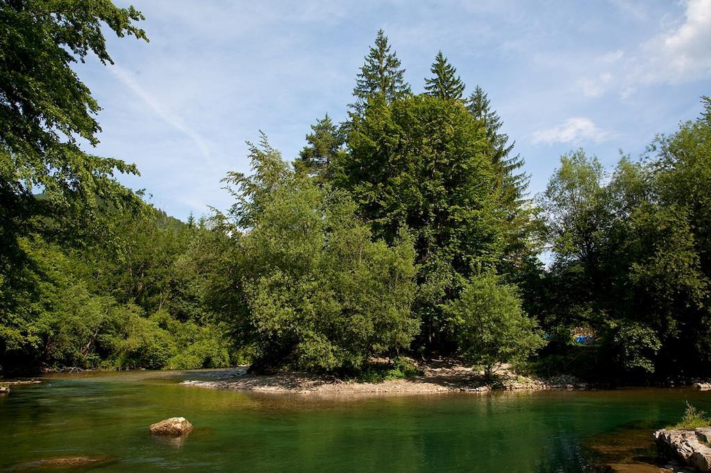 Camping Naturplac Na Skali Ljubno エクステリア 写真