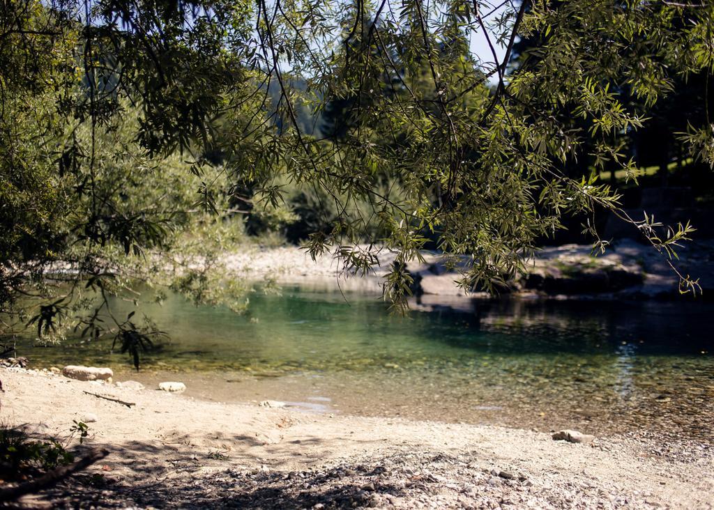 Camping Naturplac Na Skali Ljubno エクステリア 写真