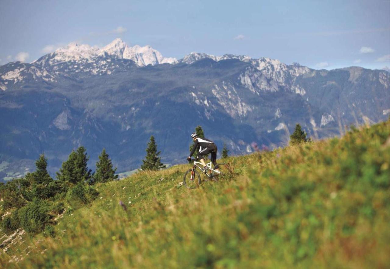 Camping Naturplac Na Skali Ljubno エクステリア 写真