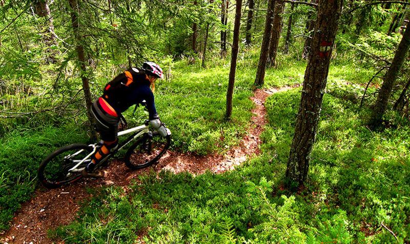 Camping Naturplac Na Skali Ljubno エクステリア 写真